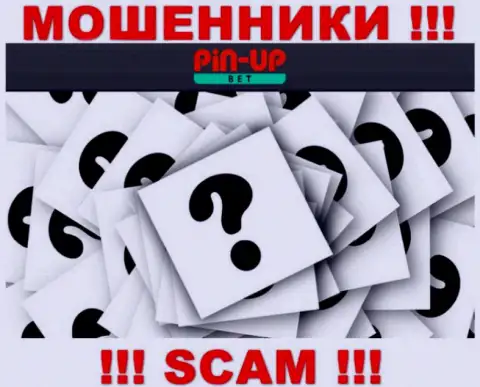 На веб-портале PinUpBet не указаны их руководители - мошенники безнаказанно отжимают финансовые вложения