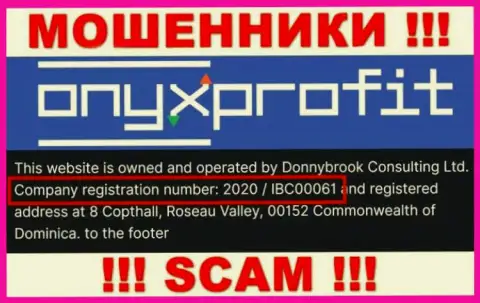 Рег. номер, который присвоен компании ОниксПрофит - 2020 / IBC00061