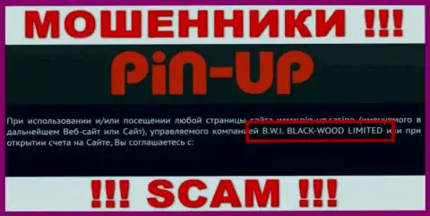 Мошенники Pin UpCasino принадлежат юридическому лицу - B.W.I. BLACK-WOOD LIMITED