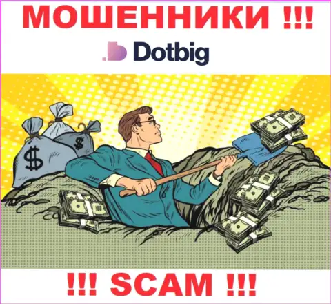 DotBig действует только лишь на сбор финансовых средств, в связи с чем не поведитесь на дополнительные финансовые вложения