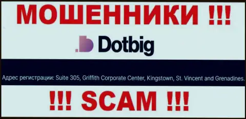 Абсолютно все клиенты DotBig Com будут слиты - эти интернет-жулики скрылись в офшорной зоне: Suite 305, Griffith Corporate Centre Kingstown, St. Vincent and the Grenadines