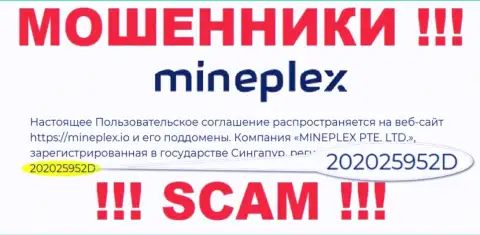 Регистрационный номер еще одной преступно действующей конторы MinePlex - 202025952D