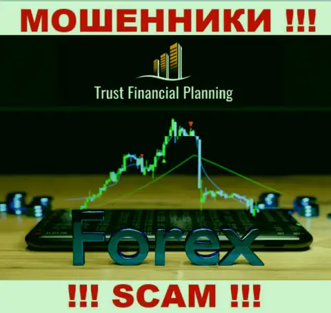 FOREX - в данной сфере действуют профессиональные аферисты Trust-Financial-Planning Com