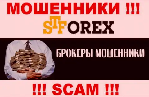 Обманщики STForex только лишь задуривают мозги биржевым трейдерам, рассказывая про баснословную прибыль