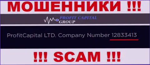 Регистрационный номер Profit Capital Group, который указан мошенниками у них на сайте: 12833413
